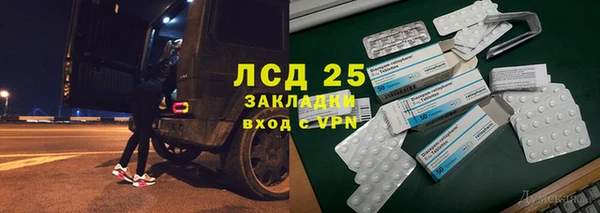 PSILOCYBIN Балахна