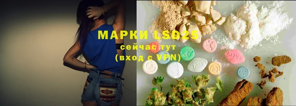 PSILOCYBIN Балахна