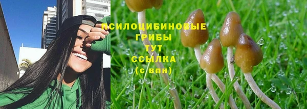 PSILOCYBIN Балахна