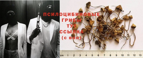apvp Балабаново