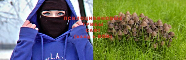 apvp Балабаново