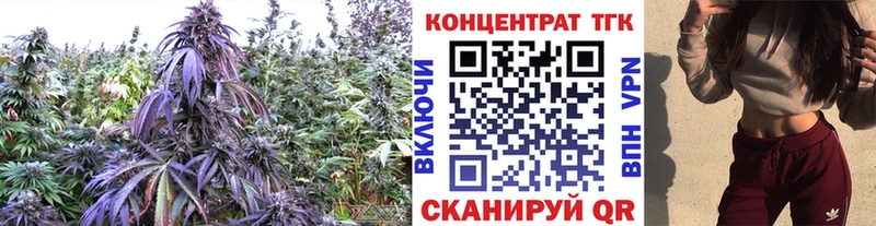darknet наркотические препараты  Лебедянь  Дистиллят ТГК концентрат 